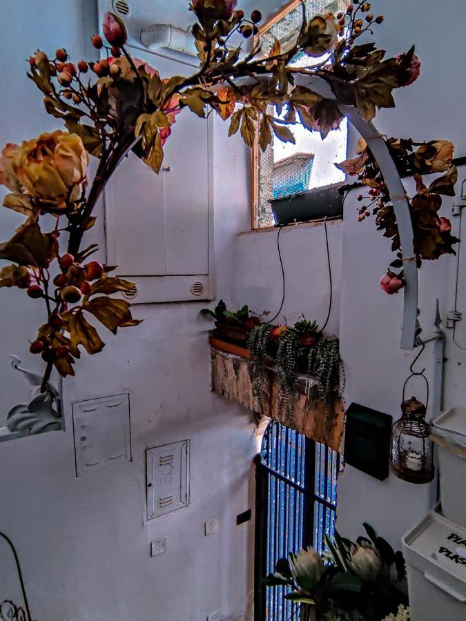 Bird House *
